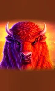 Buffalo 50